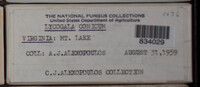 Image Associated With the Occurence